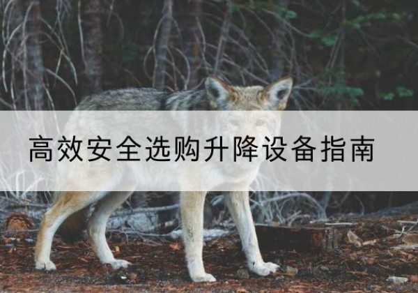 凭祥升降货梯厂家推荐-*安全选购升降设备指南