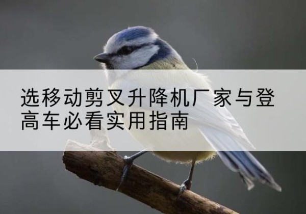 凭祥电动升降机厂家-选移动剪叉升降机厂家与登高车必看实用指南