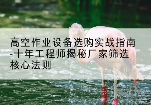 凭祥剪叉式升降机厂家-高空作业设备选购实战指南-十年工程师揭秘厂家筛选核心法则