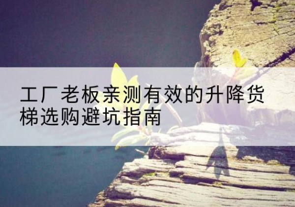 凭祥升降货梯怎么选-工厂老板亲测有效的升降货梯选购避坑指南